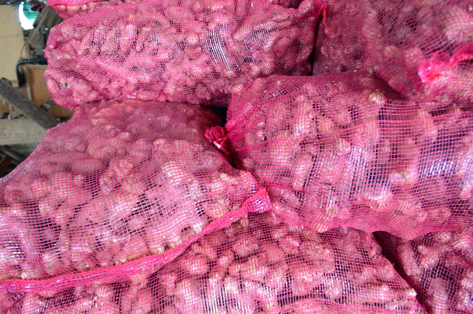 Premium Indonesian Spices for Export